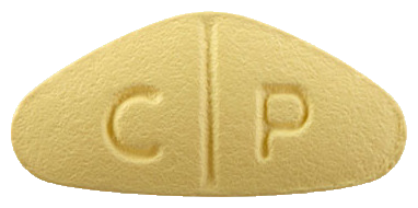 제대로필정20mg 제품 사진