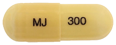뉴가틴엠캡슐300mg 제품 사진