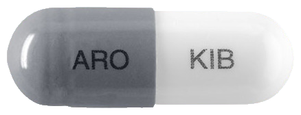 아로필립캡슐100mg 제품 사진