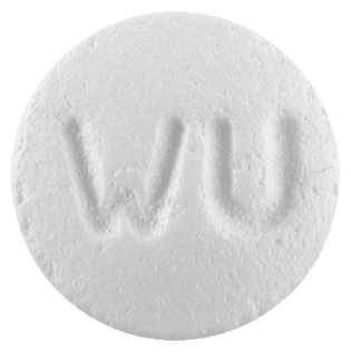 위더스라푸티딘정10mg 제품 사진
