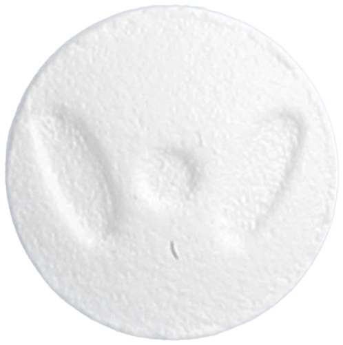 라푸트정10mg 제품 사진