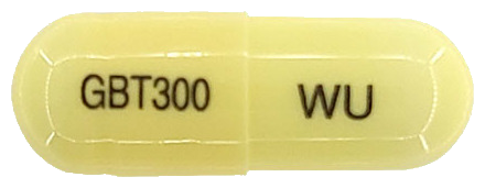 위더펜틴캡슐300mg 제품 사진