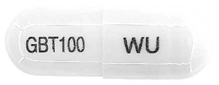 위더펜틴캡슐100mg 제품 사진
