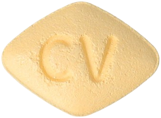 파시가정10mg 제품 사진