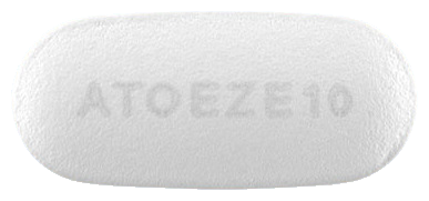 아토에지정10/10mg 제품 사진