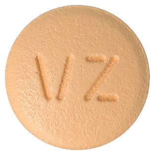 이글립틴정100mg 제품 사진