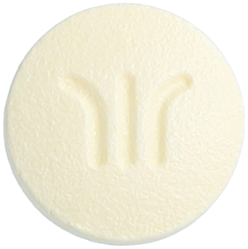 부디앙정10mg 제품 사진