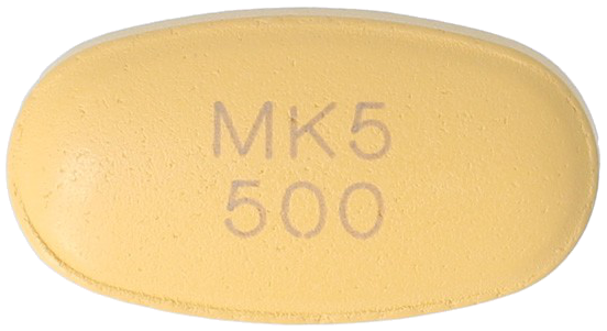 엠파글엠정5/500mg 제품 사진