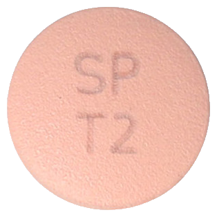 테리글정20mg 제품 사진
