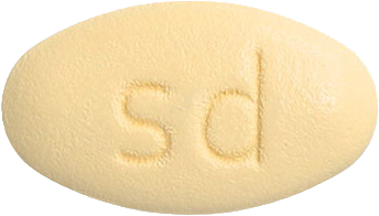실다파정10/100mg 제품 사진