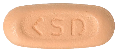 다누시가정10/100mg 제품 사진