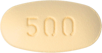 트라이나엠정2.5/500mg 제품 사진