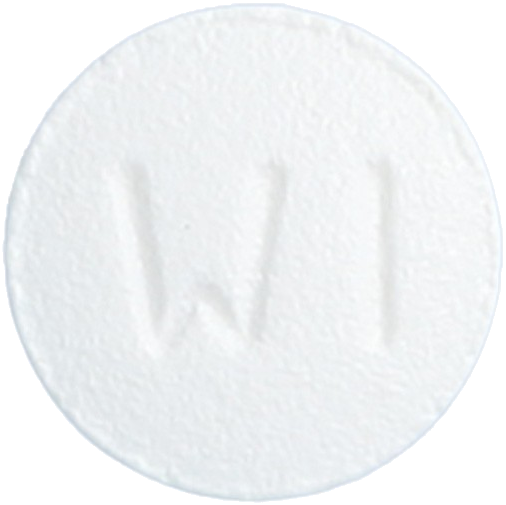 니세온정10mg 제품 사진