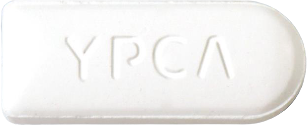 카로마스텐질정100mg 제품 사진