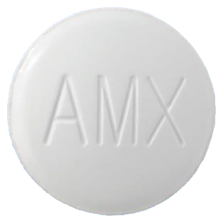 제일알맥스정500mg 제품 사진