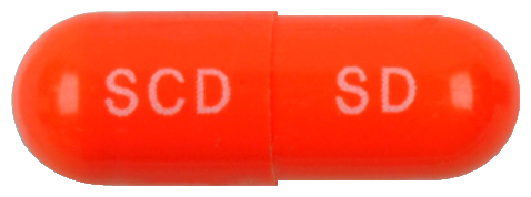 소담캡슐200mg 제품 사진