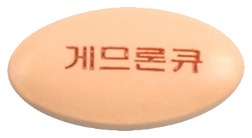 게므론코큐텐정 제품 사진