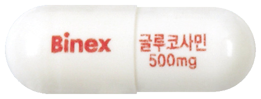 바이넥스글루코사민500캡슐 제품 사진