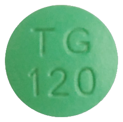 긴코센정120mg 제품 사진