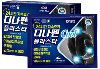 디나펜플라스타 제품 사진