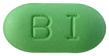 징코빌라정80mg 제품 사진