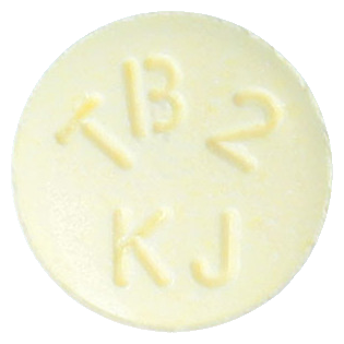 리부트정200mg 제품 사진