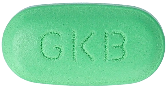 징코브로정240mg 제품 사진