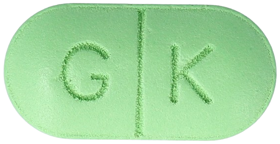 한미징코정240mg 제품 사진