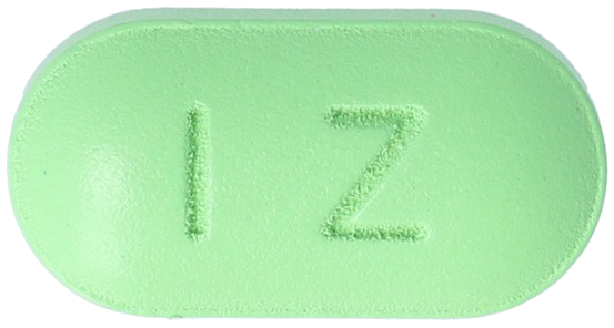 파믹스징코정240mg 제품 사진