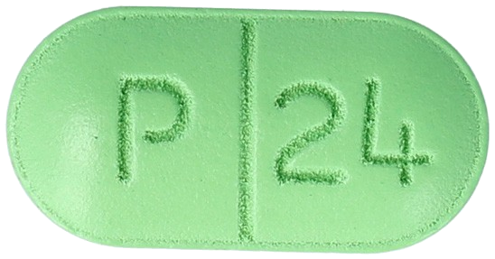 징코팜정240mg 제품 사진