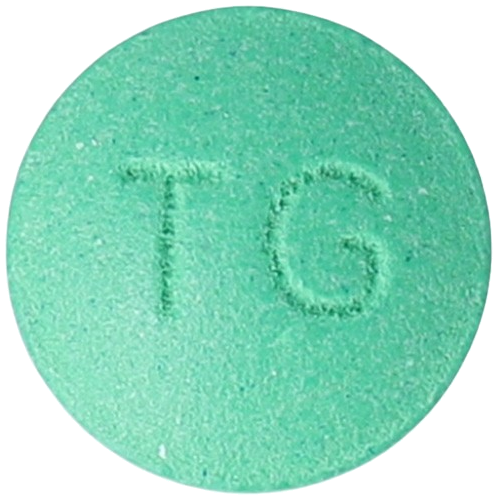 징코잎정120mg 제품 사진